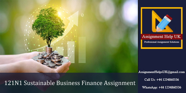121N1 Sustainable Business Finance Assignment 