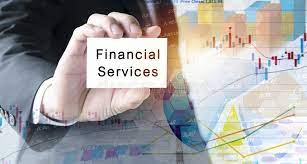 251FI Financial Services Essay 