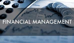 367LON Financial Management Assignment 