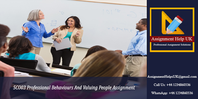 5CO03 Professional Behaviours And Valuing People Assignment