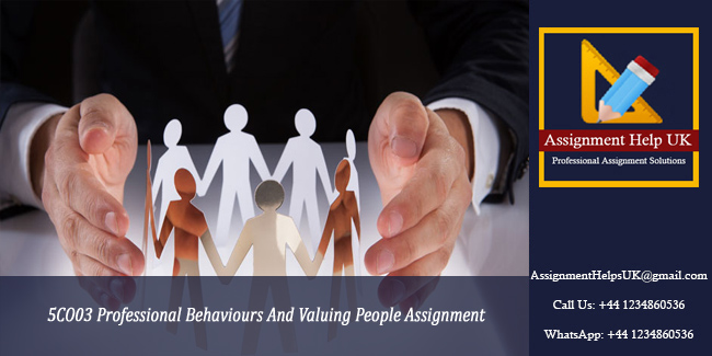 5CO03 Professional Behaviours And Valuing People Assignment