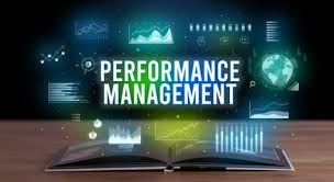 7002V1 Developing Performance Management Strategies Assignment