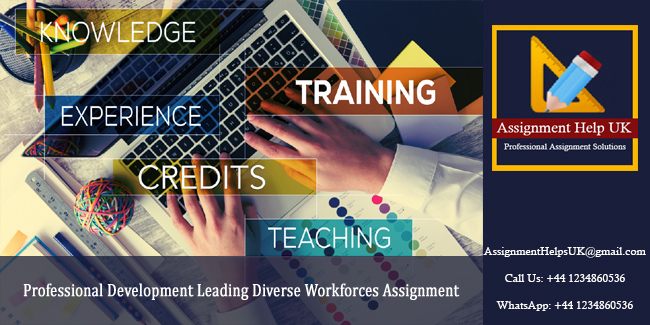 7049CRB Professional Development Leading Diverse Workforces Assignment