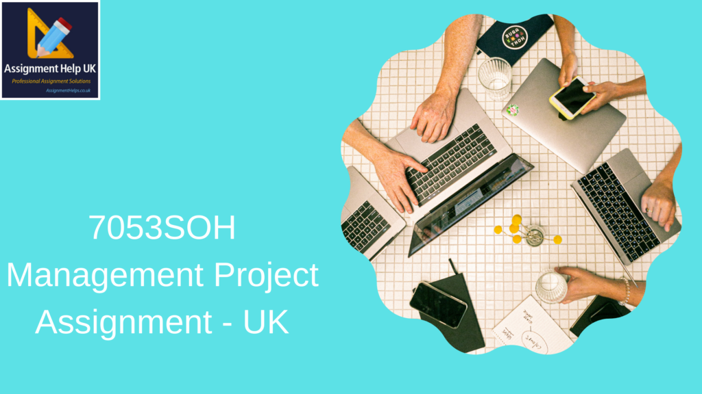 7053SOH Management Project Assignment - UK