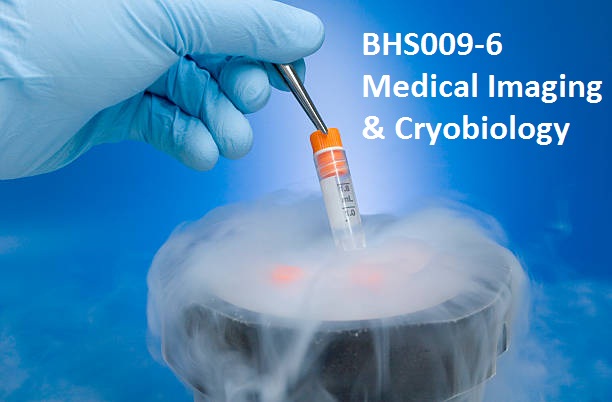 BHS009-6 Medical Imaging & Cryobiology