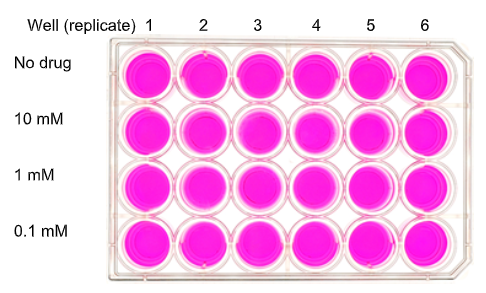 BIOS5004 Microbiology Assignment 