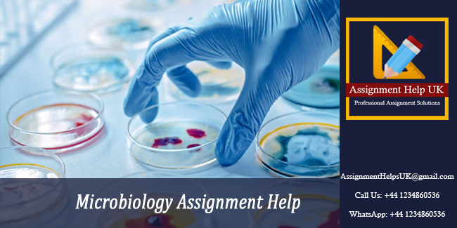 BIOS5004 Microbiology Assignment 