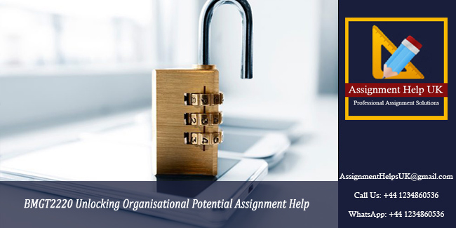 BMGT2220 Unlocking Organisational Potential Assignment