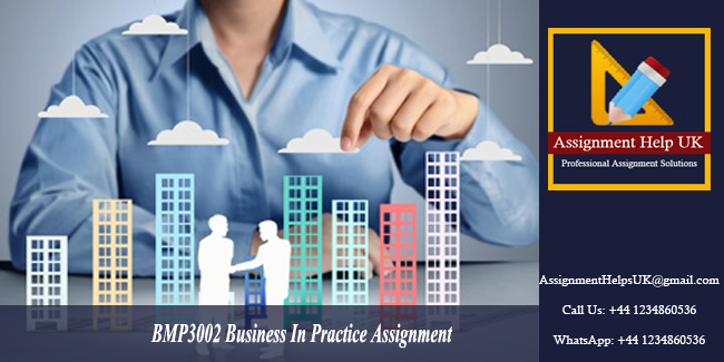 BMP3002 Business In Practice Assignment 