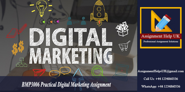 BMP3006 Practical Digital Marketing Assignment 