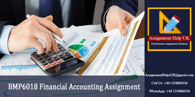 BMP6018 Financial Accounting Assignment 