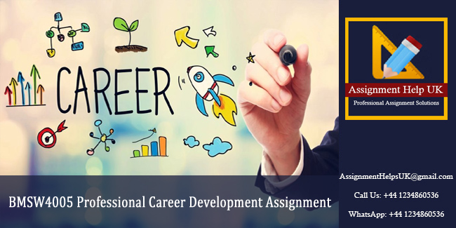 BMSW4005 Professional Career Development Assignment 