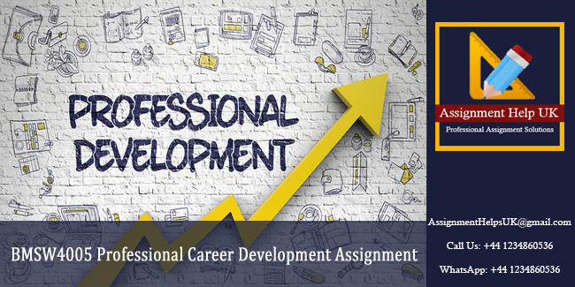 BMSW4005 Professional Career Development Assignment 