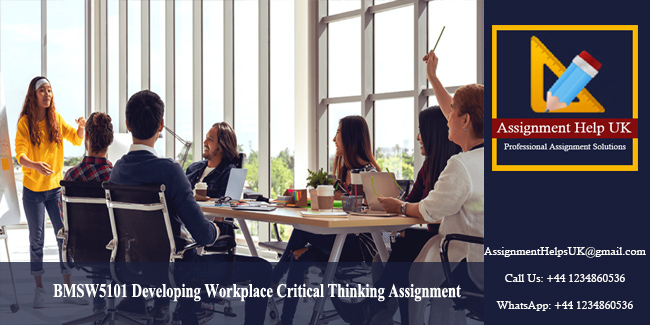 BMSW5101 Developing Workplace Critical Thinking Assignment 