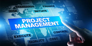 BMSW5104 Managing Projects In The Organisation Assignment