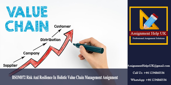 BSOM072 Holistic Value Chain Management Assignment 