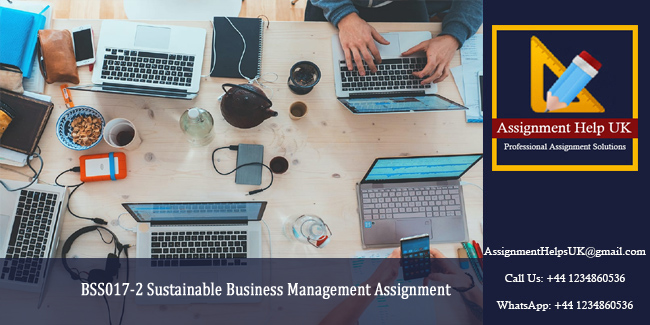 BSS017-2 Sustainable Business Management Assignment 