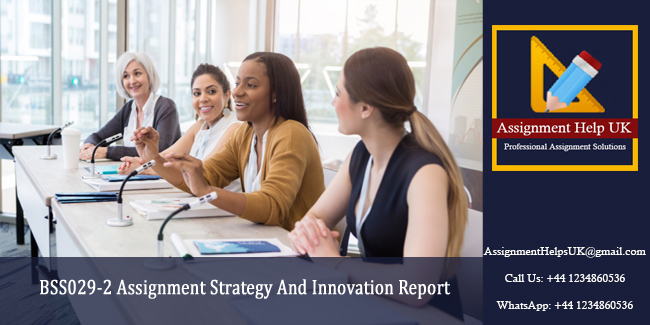 BSS029-2 Assignment Strategy And Innovation Report