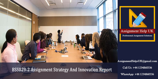 BSS029-2 Assignment Strategy And Innovation Report