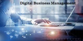 BSS041-3 Digital Business Management Assignment