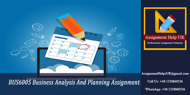 BUS6005 Business Analysis And Planning Assignment 