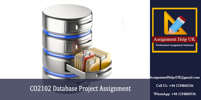 CO2102 Database Project Assignment