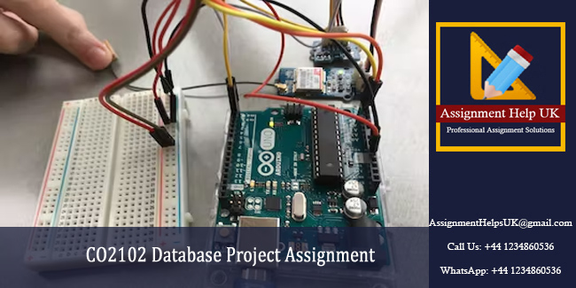 CO2102 Database Project Assignment 