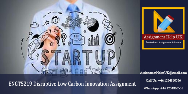 ENGT5219 Disruptive Low Carbon Innovation Assignment 