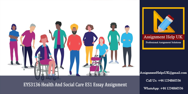 EYS3136 Health And Social Care ES1 Essay Assignment 
