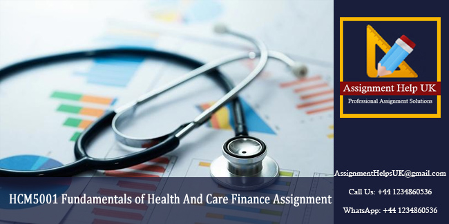 HCM5001 Fundamentals of Health And Care Finance Assignment 