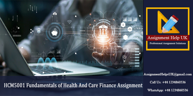 HCM5001 Fundamentals of Health And Care Finance Assignment 