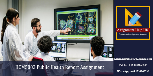 HCM5002 Public Health Report Assignment 