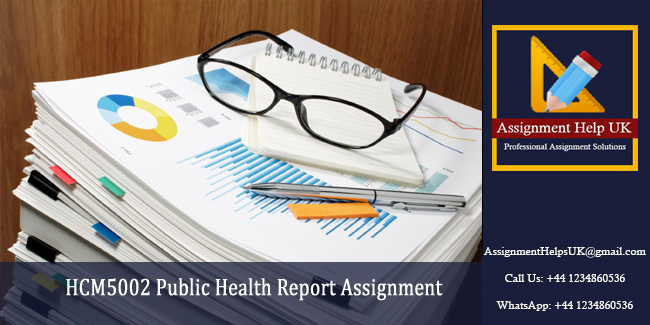 HCM5002 Public Health Report Assignment 