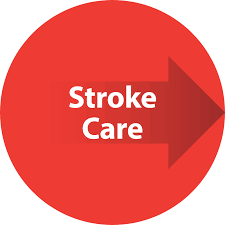HSC306 Understanding Stroke Care 