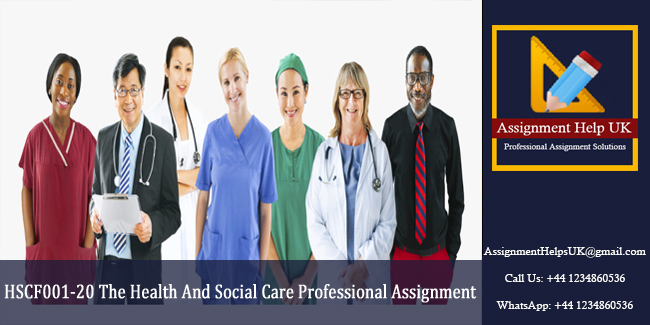 HSCF001-20 The Health And Social Care Professional Assignment 