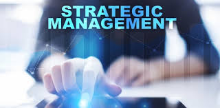 LSME 501 Strategic Management Assignment 
