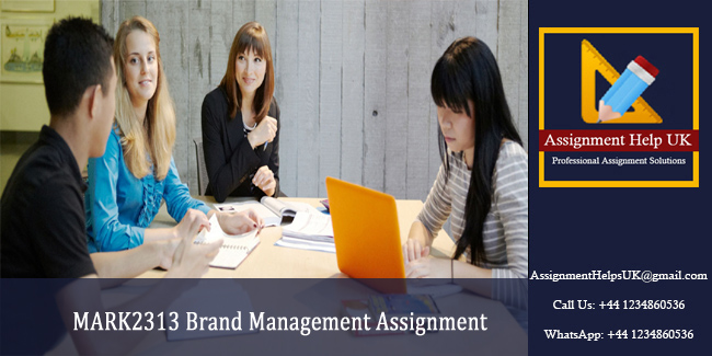 MARK2313 Brand Management Assignment 