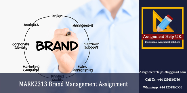 MARK2313 Brand Management Assignment 