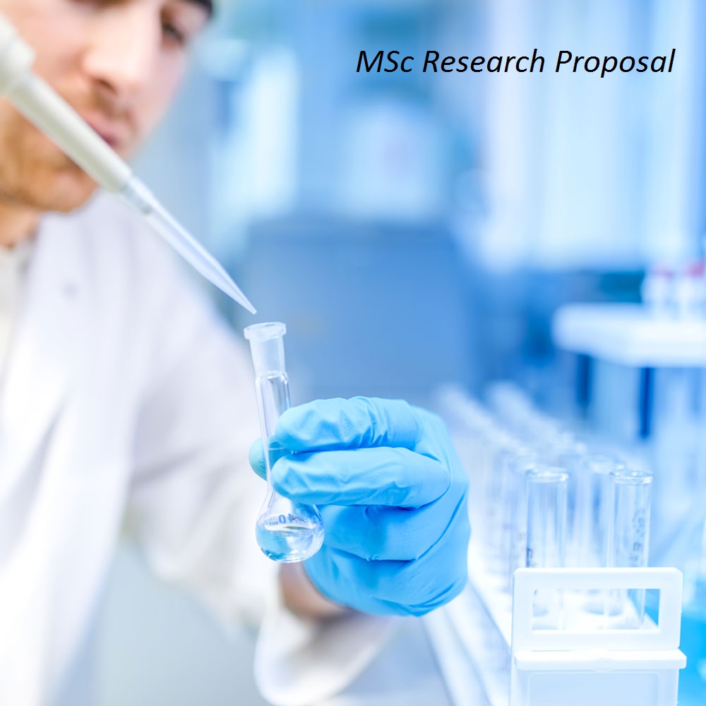 MARK7006 MSc Research Proposal
