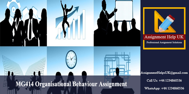 organisational behaviour assignment
