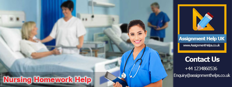 nursing homework help services