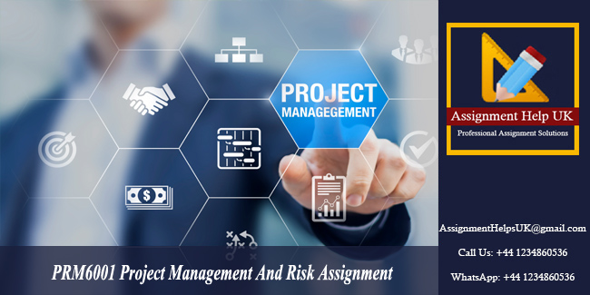 PRM6001 Project Management And Risk Assignment 