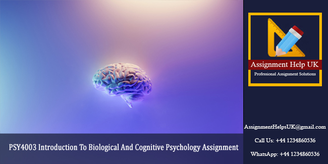 PSY4003 Introduction To Biological And Cognitive Psychology Assignment 