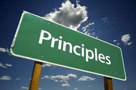 PUB017-6 Principles Policies & Issues Assignment