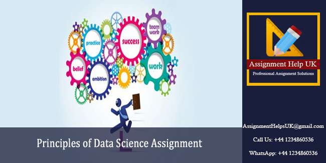 Principles of Data Science Assignment 