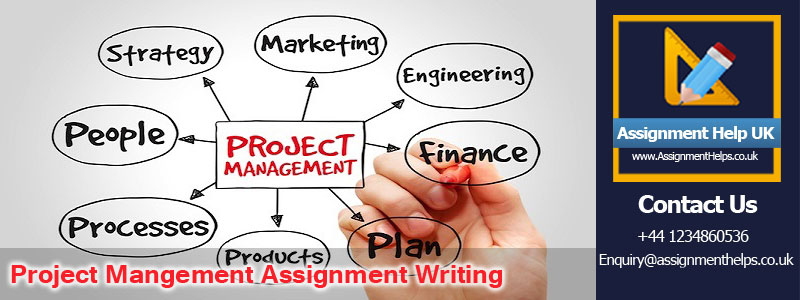 Project Mangement Assignment Writing Help