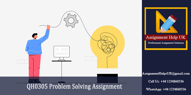 QH0305 Problem Solving Assignment 