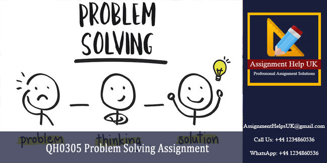 QH0305 Problem Solving Assignment