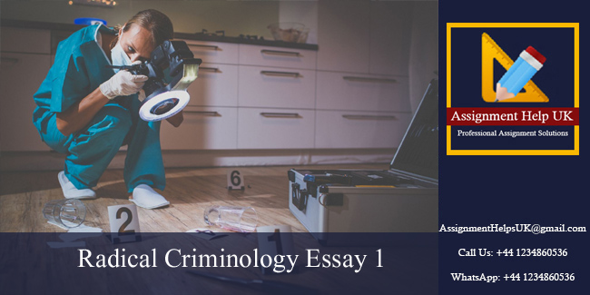 Radical Criminology Essay 1