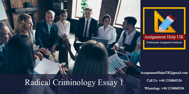 Radical Criminology Essay 1